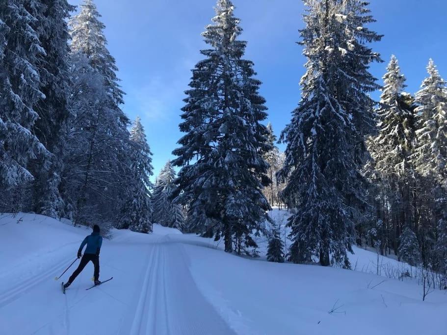 Studio Avec Belle Vue Proche Du Lac Genin Echallon Екстер'єр фото